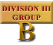 Men's Division III Group B